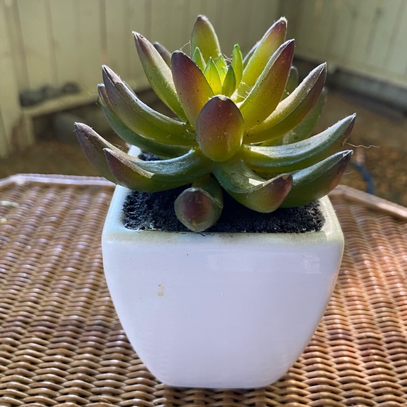 Artificial plant 🪴 - Picture 2 of 4